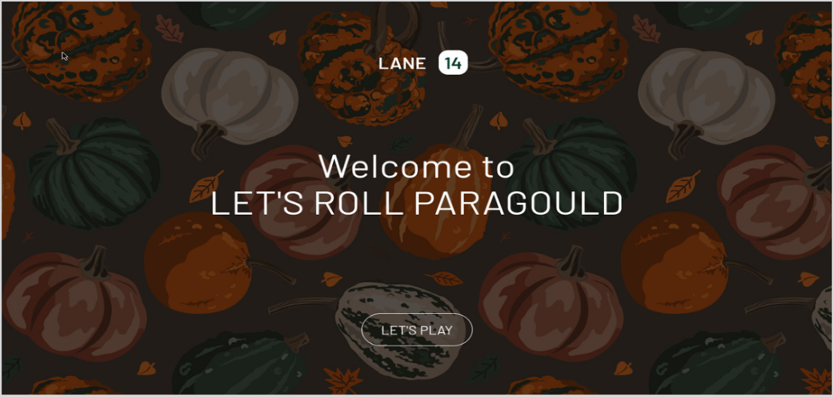 BES NV Identity 1.png